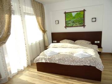 Фото номера Номер с кроватью размера «queen-size» и балконом Гостевой дом Complex Vila Balea г. Cumpăna 3