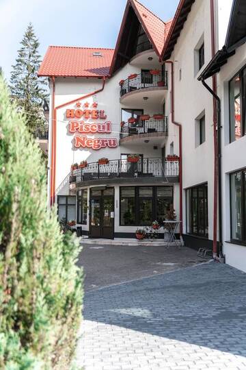 Фотографии Отель Piscul Negru Hotel - Transfagarasan г. Cumpăna (Румыния) №4 Фото Отель Piscul Negru Hotel - Transfagarasan г. Cumpăna 4
